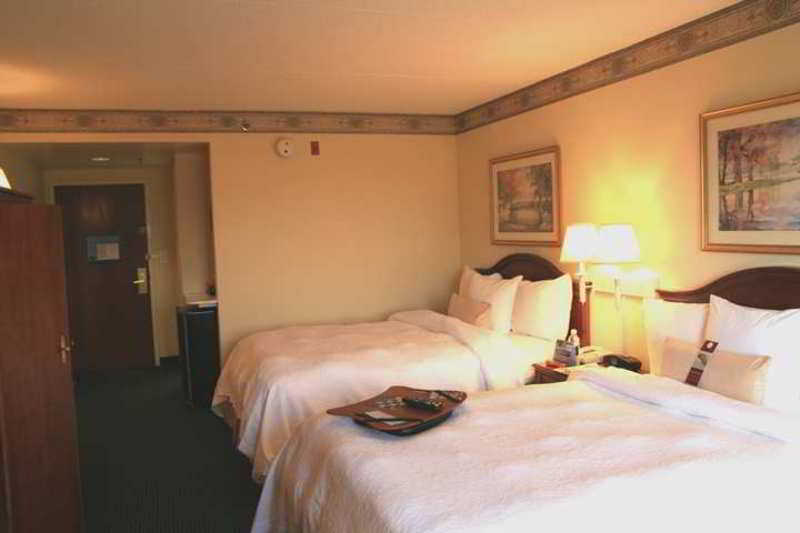 Hampton Inn & Suites Atlanta-Galleria Smyrna Rum bild
